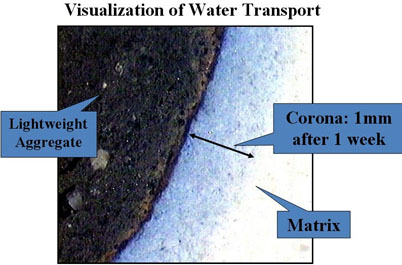 Water Transfer